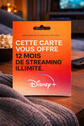 Disney + premium 12 mois
